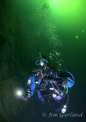 Deep and Cold - Heather ascending from the depths of a No... by Jim Garland 